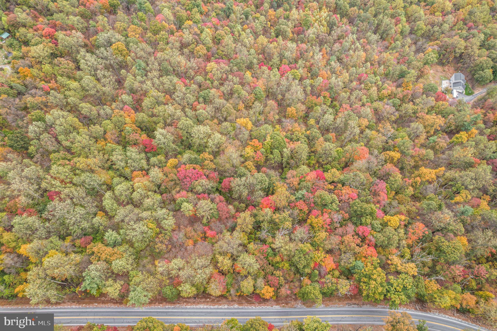 WAGGONERS GAP ROAD