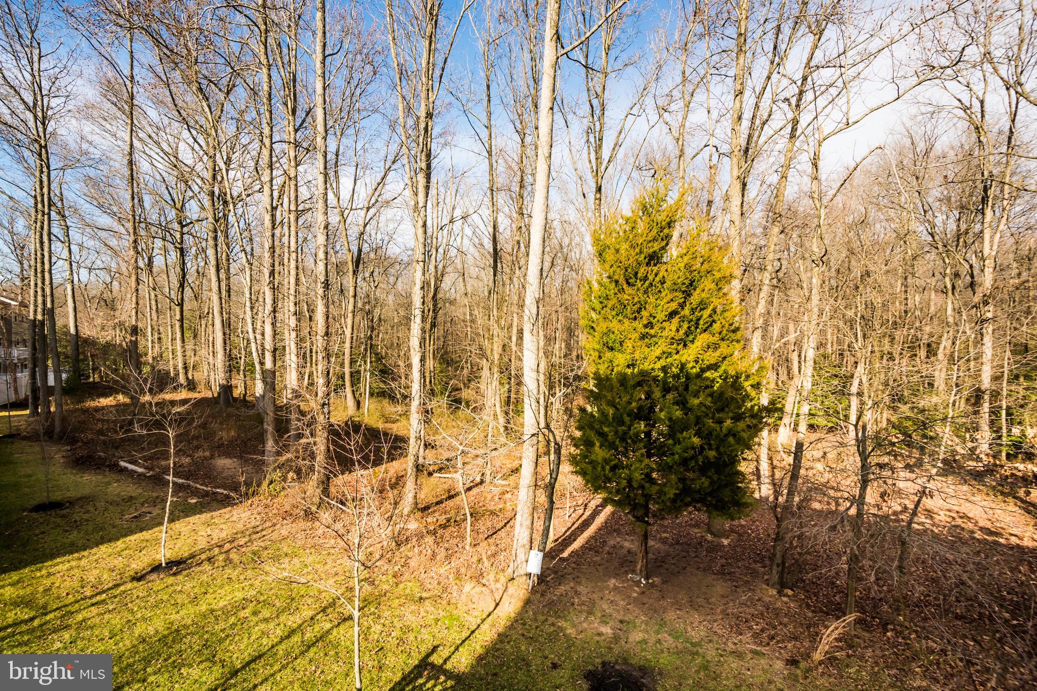 TANYARD SPRINGS - Residential