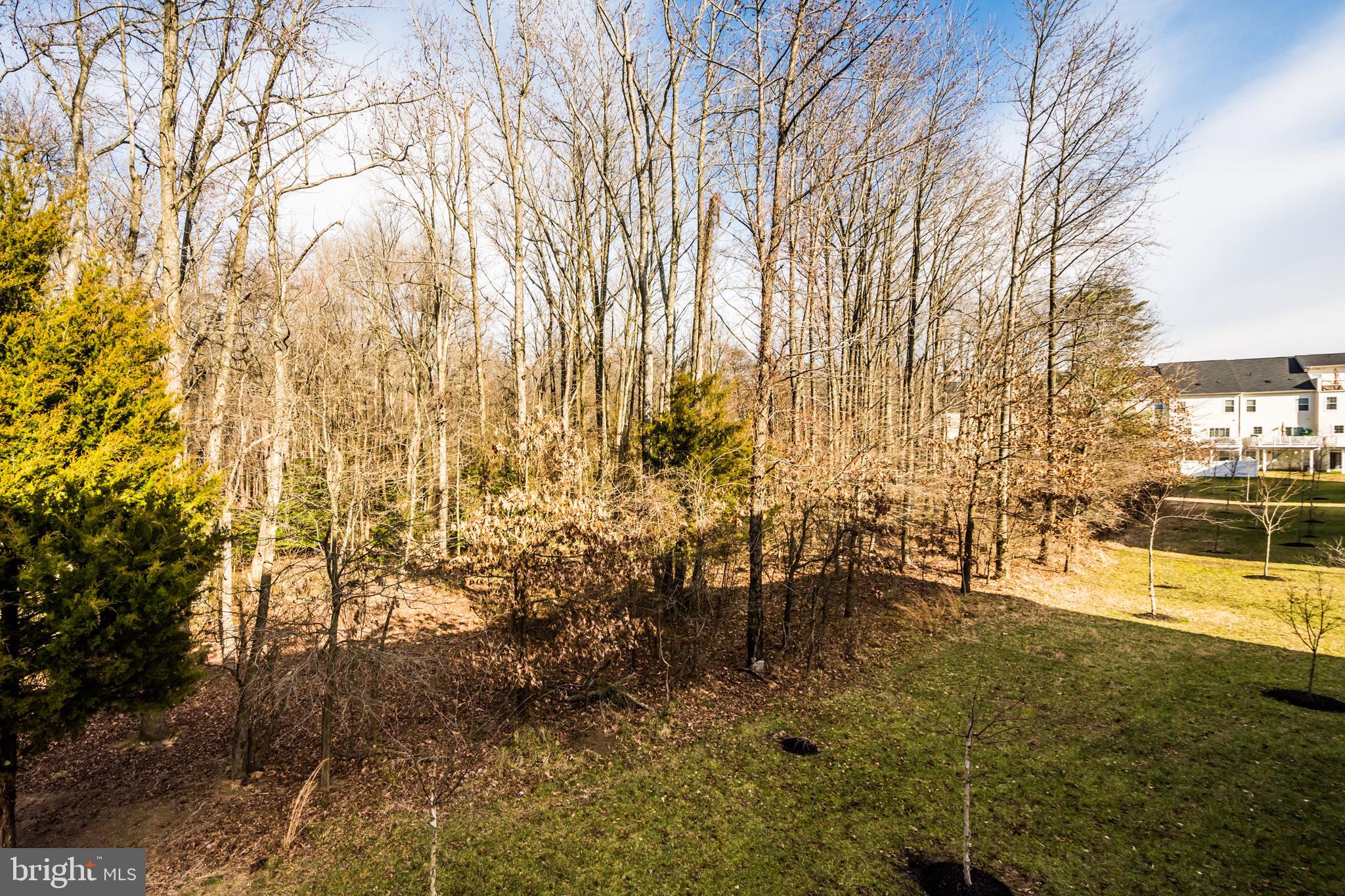 TANYARD SPRINGS - Residential