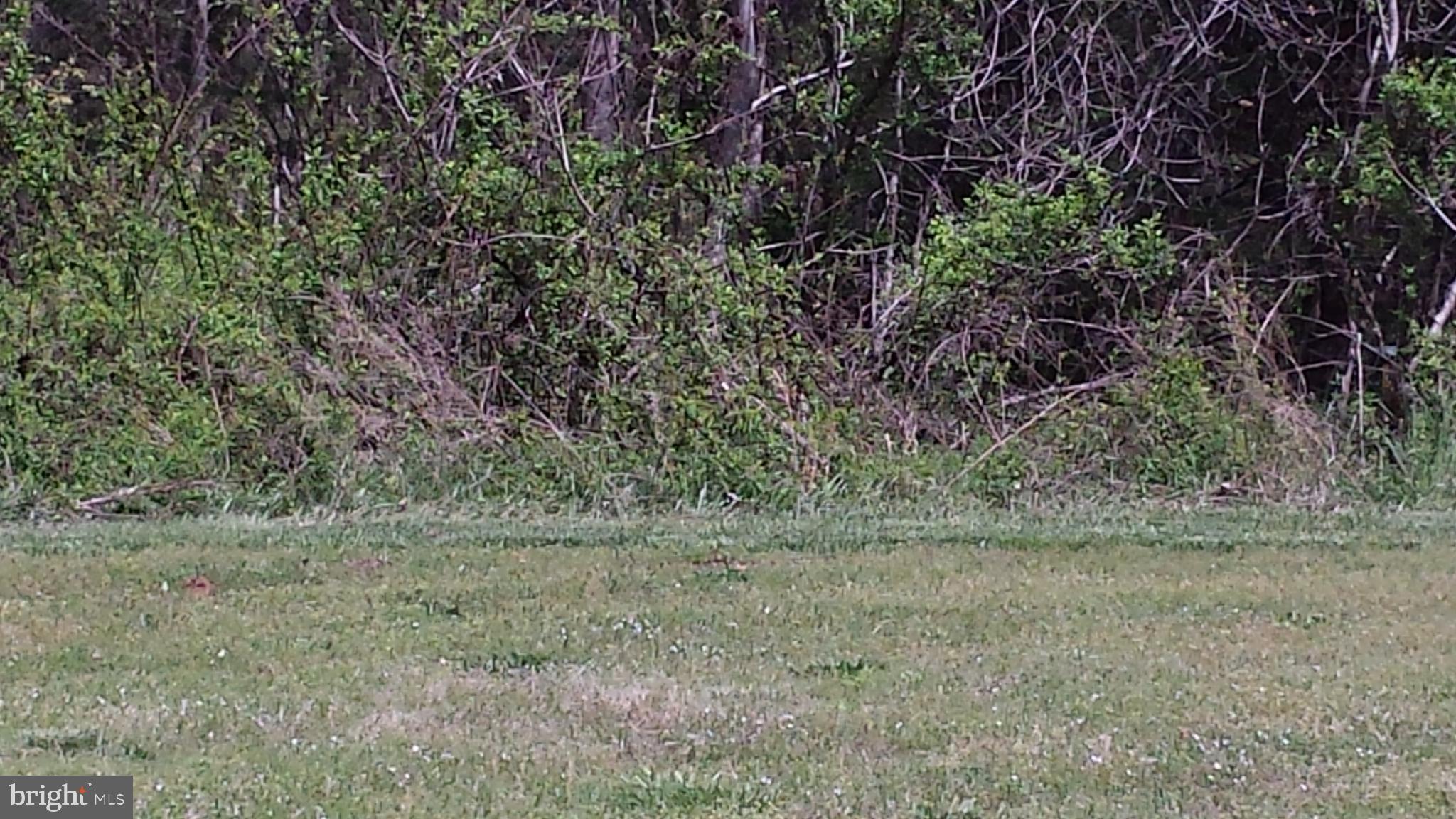 TERRYS RUN ESTATES - Land