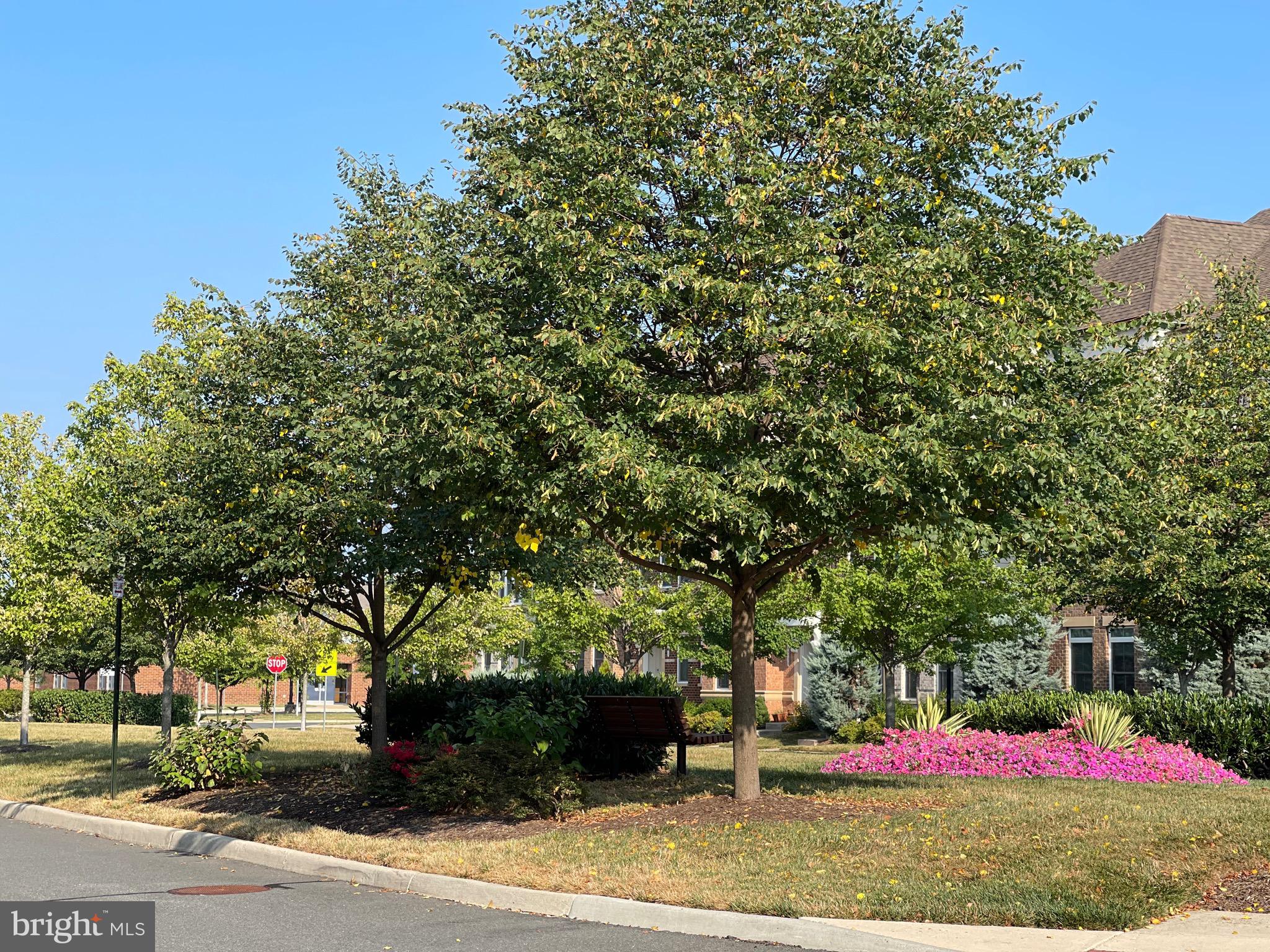 ONE LOUDOUN LAND BAY B - Residential Lease