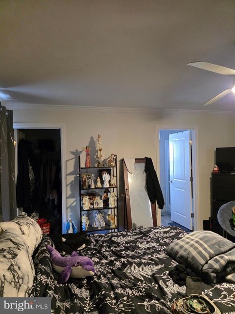 listing image 26
