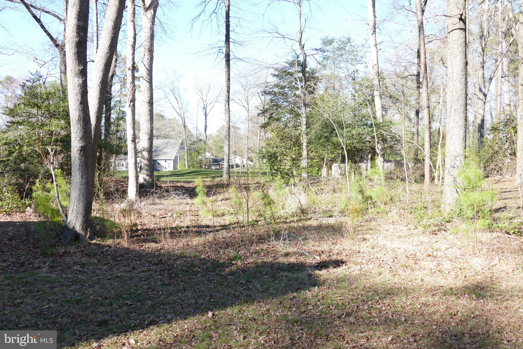 OCEAN PINES - HUNTINGTON - Residential