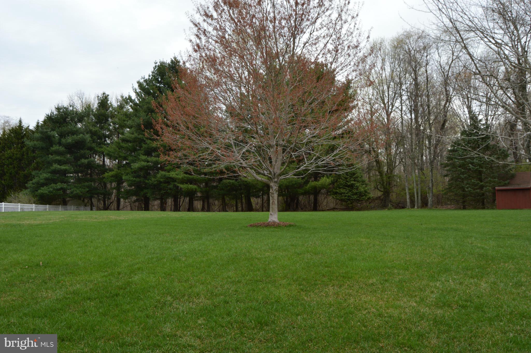 PEACH ORCHARD HEIGHTS - Residential