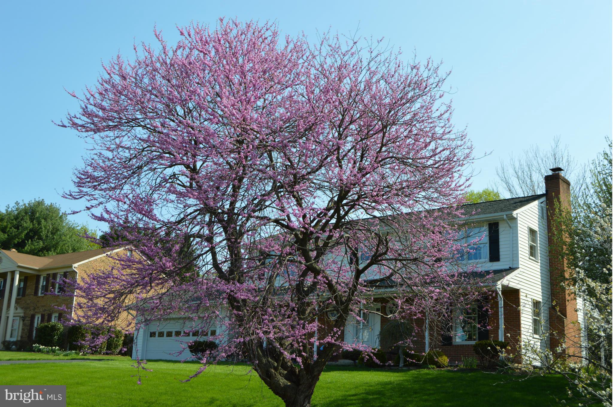 PEACH ORCHARD HEIGHTS - Residential