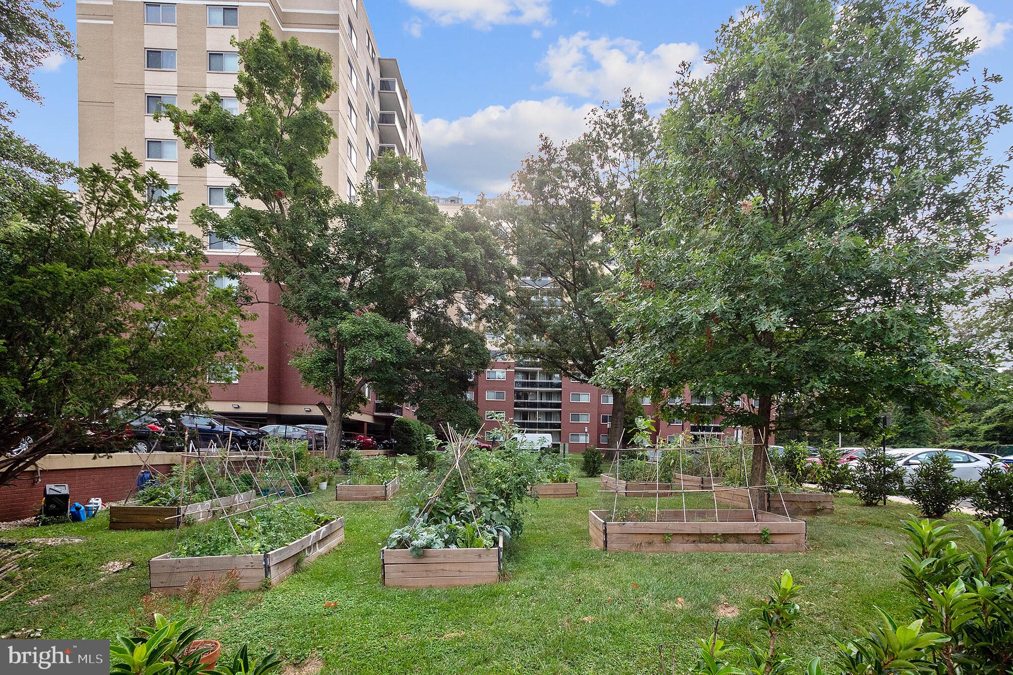 TAKOMA PARK - Residential