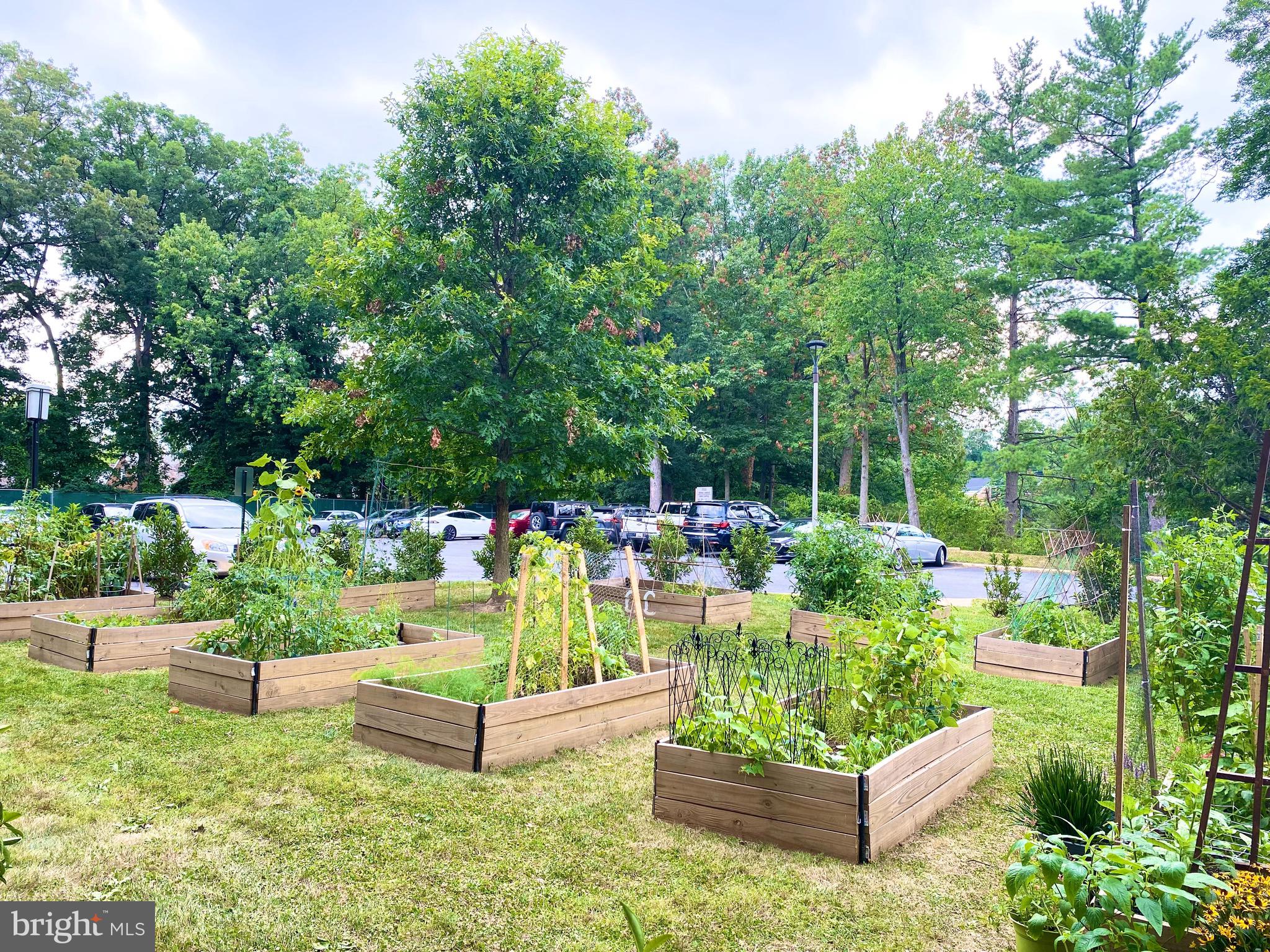 TAKOMA PARK - Residential