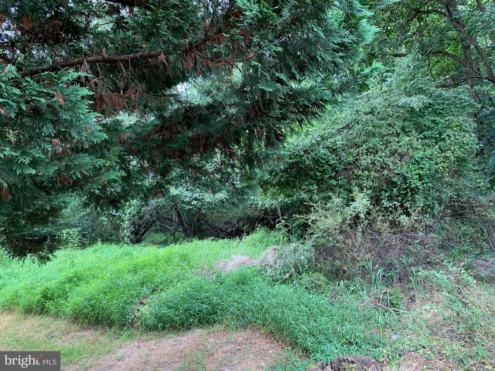 26 CHENEY AVENUE