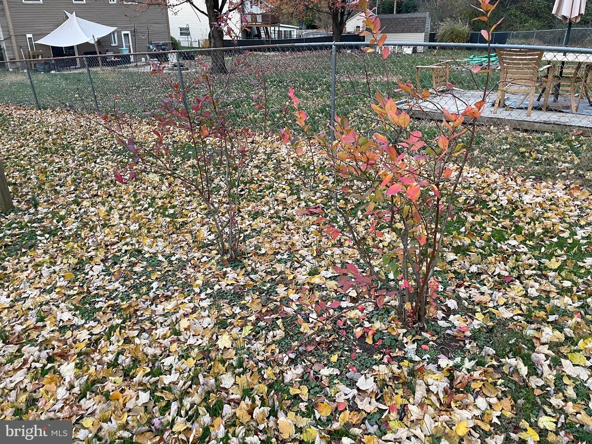 WEST YORK ESTATES - Residential