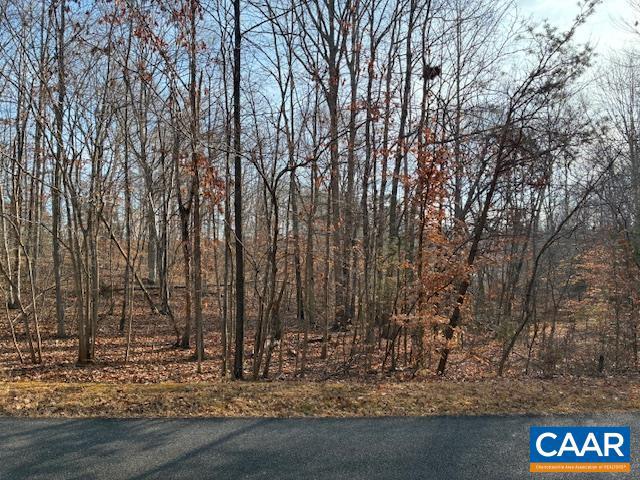 SHENANDOAH CROSSING - Land