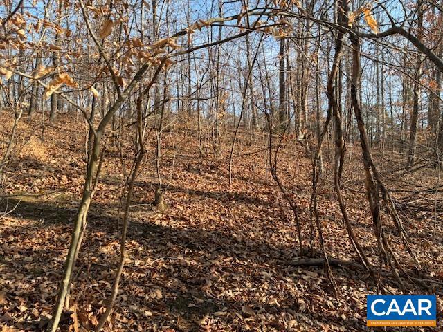 SHENANDOAH CROSSING - Land