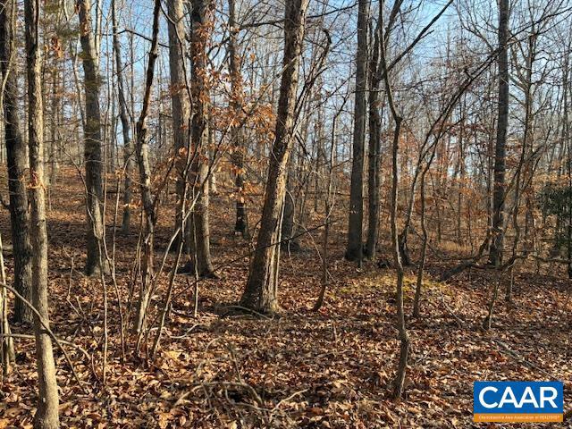 SHENANDOAH CROSSING - Land