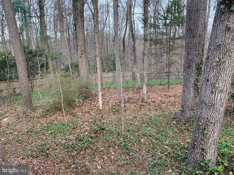 listing image 83