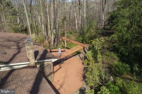 listing image 44