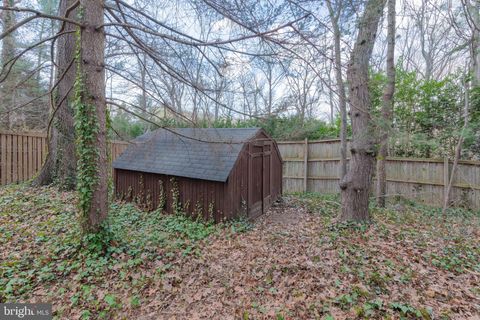 listing image 81