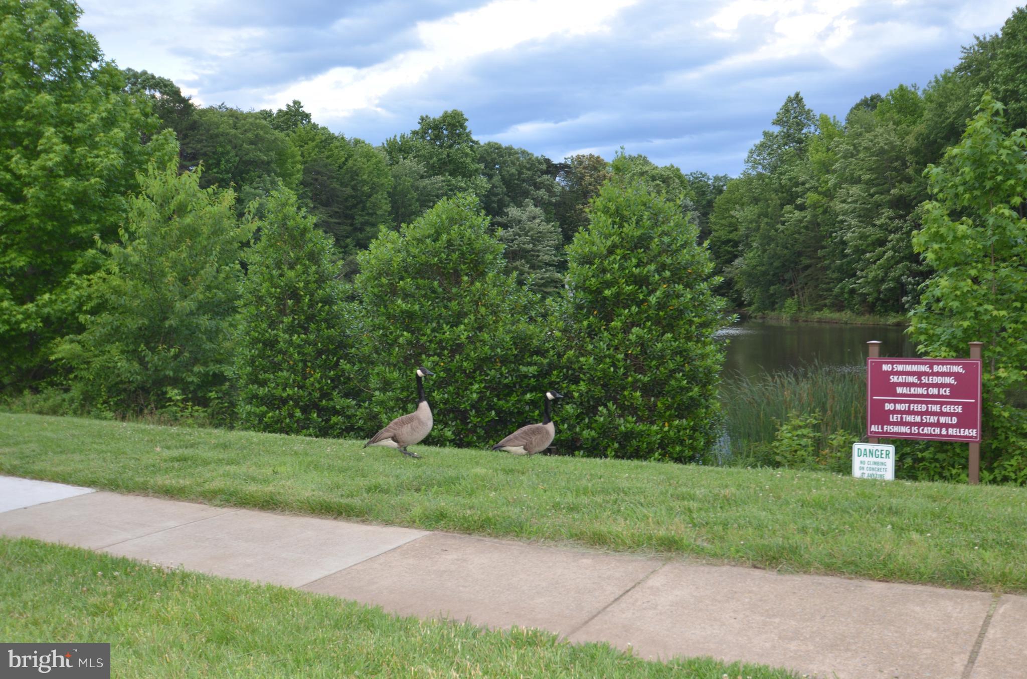 ISLAND CREEK - Residential Lease