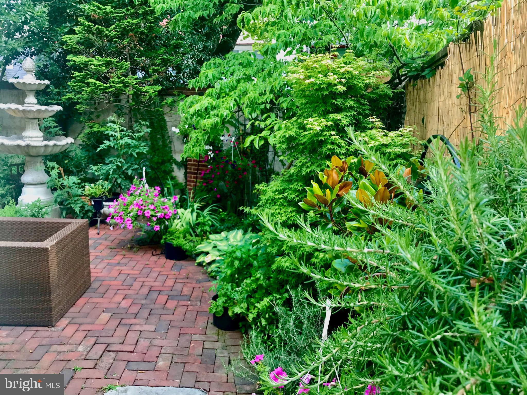 HISTORIC DISTRICT - Residential Lease