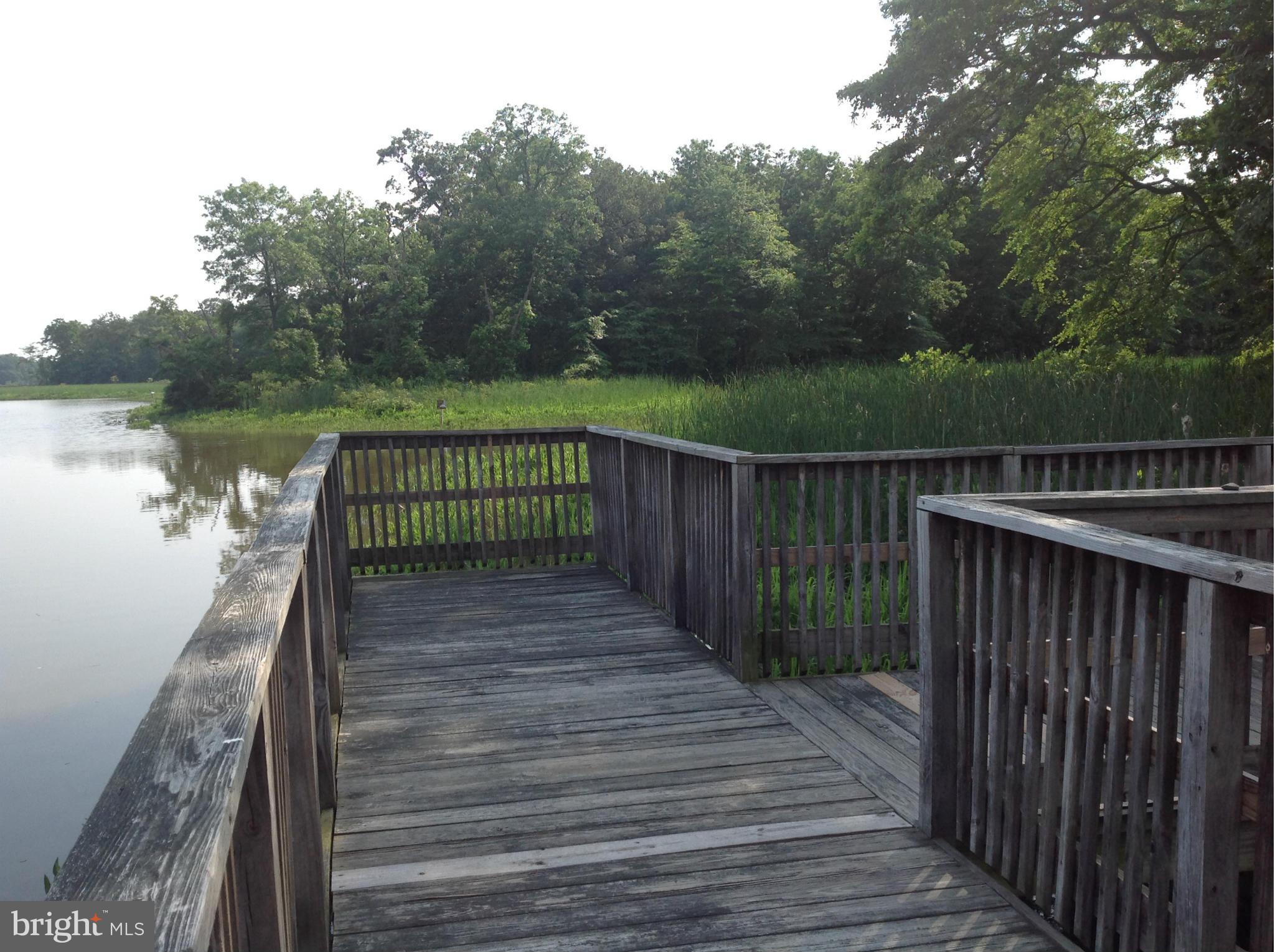 EAGLES LANDING AT WATERS EDGE - Residential