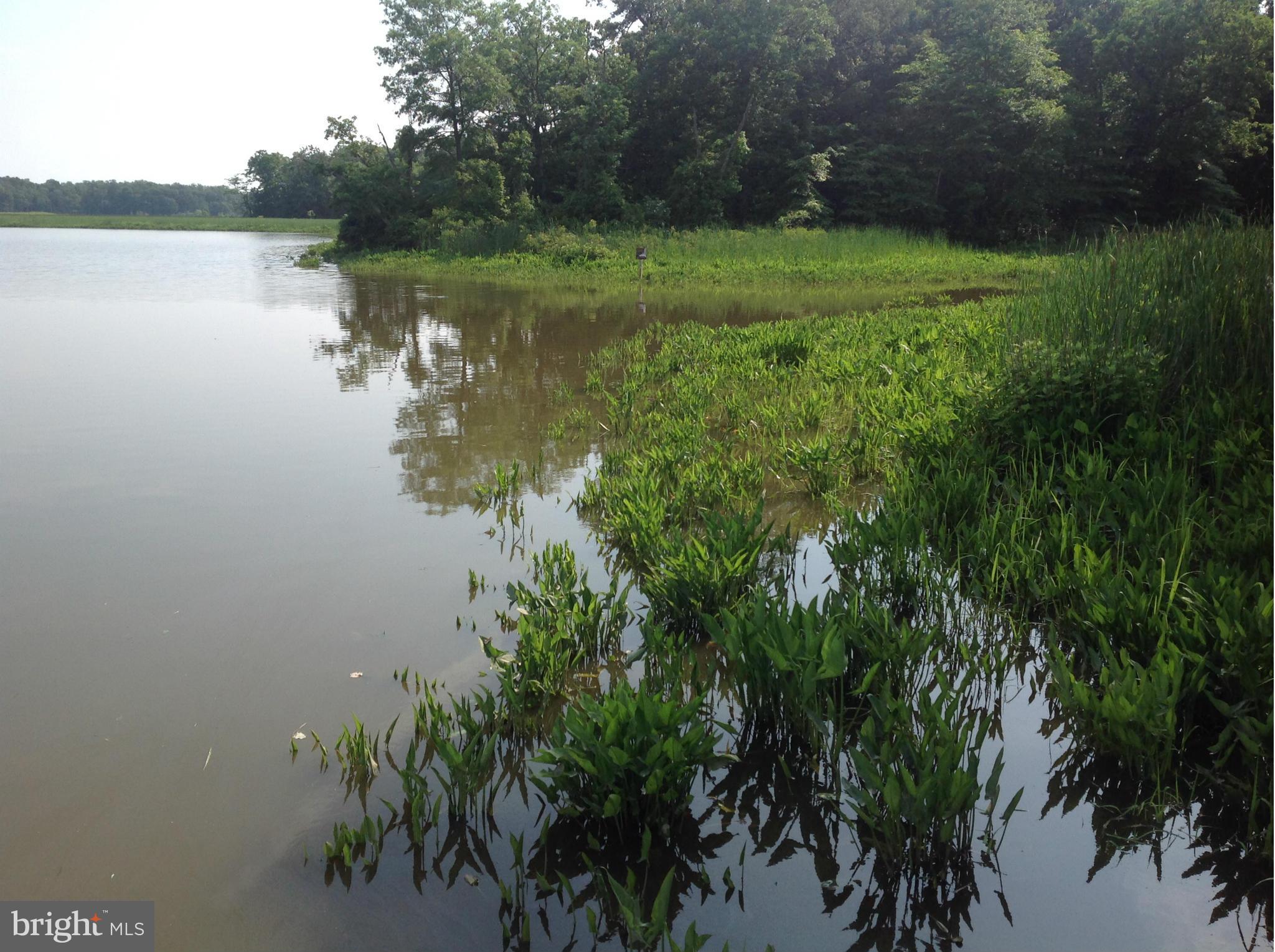 EAGLES LANDING AT WATERS EDGE - Residential