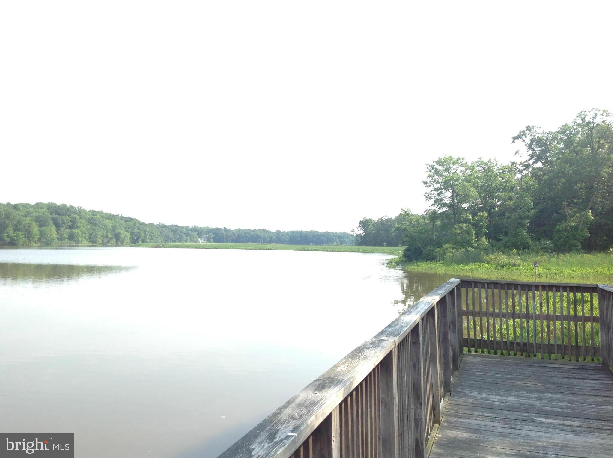 EAGLES LANDING AT WATERS EDGE - Residential