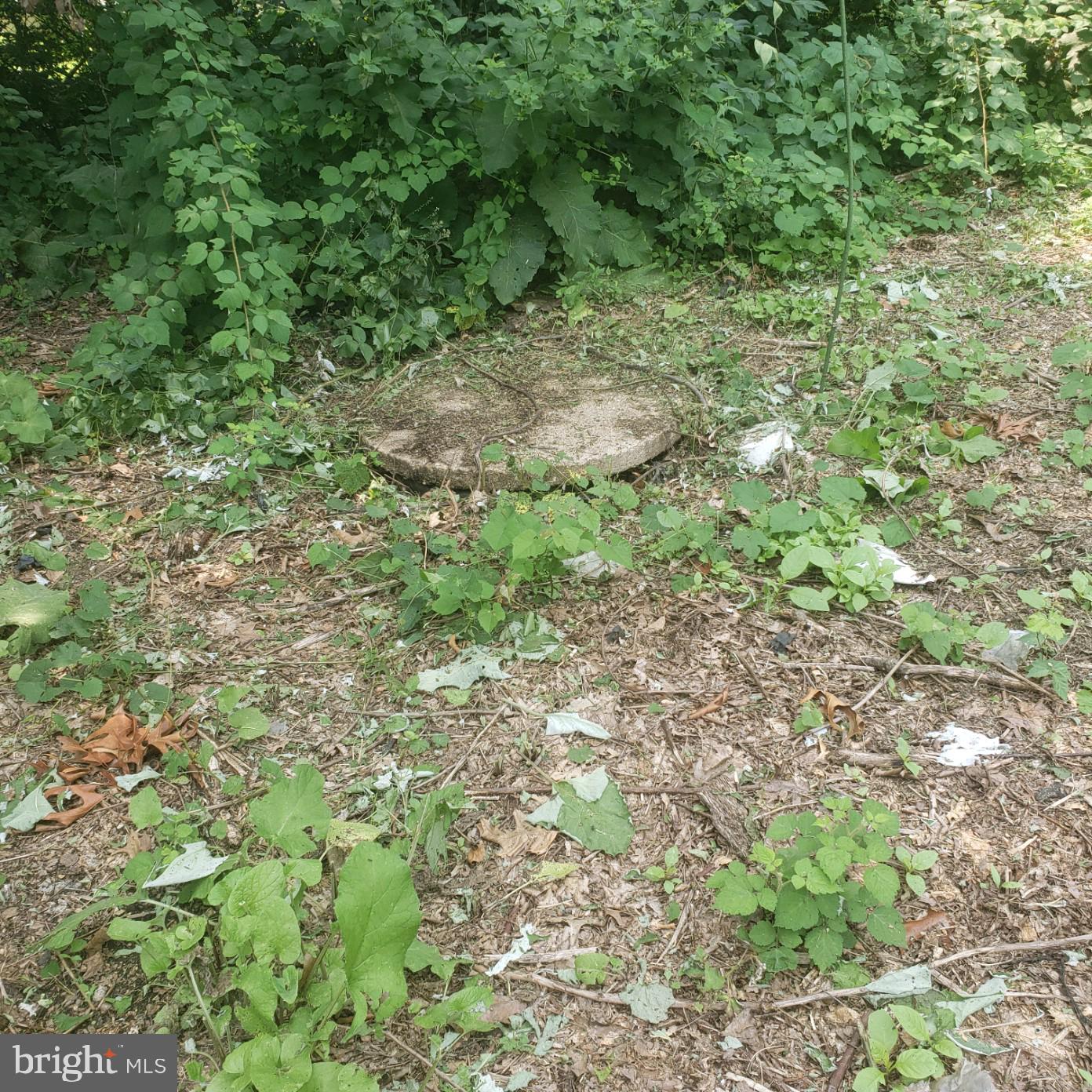 SUSQUEHANNA TRAILS - Land