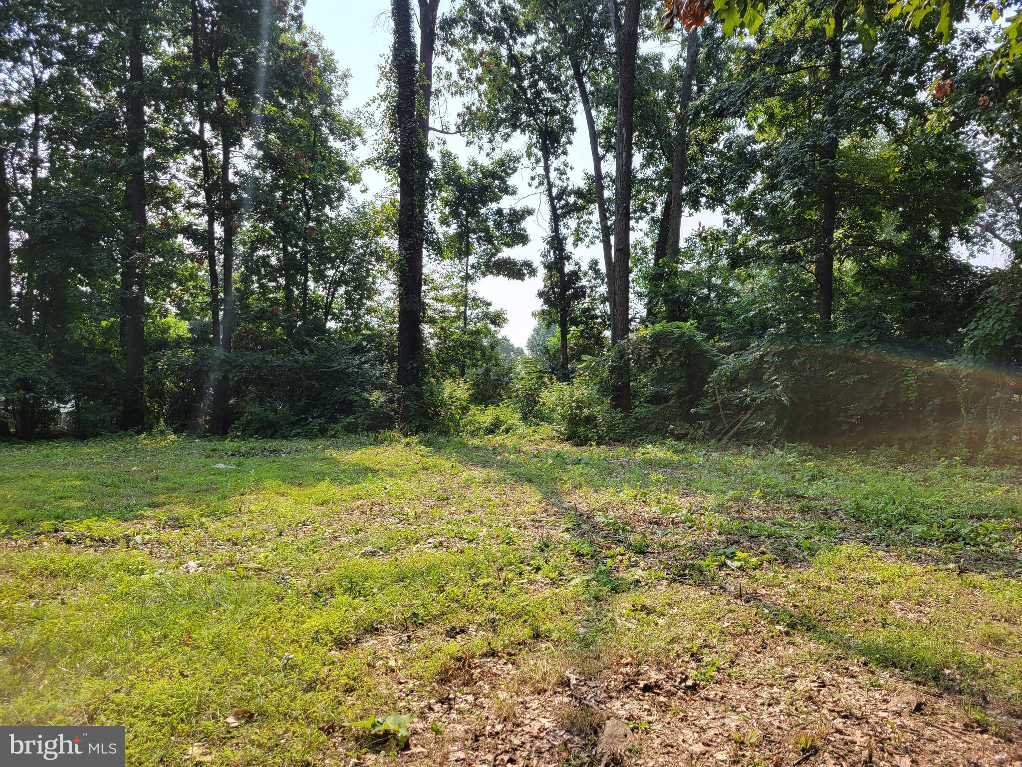 SUSQUEHANNA TRAILS - Land