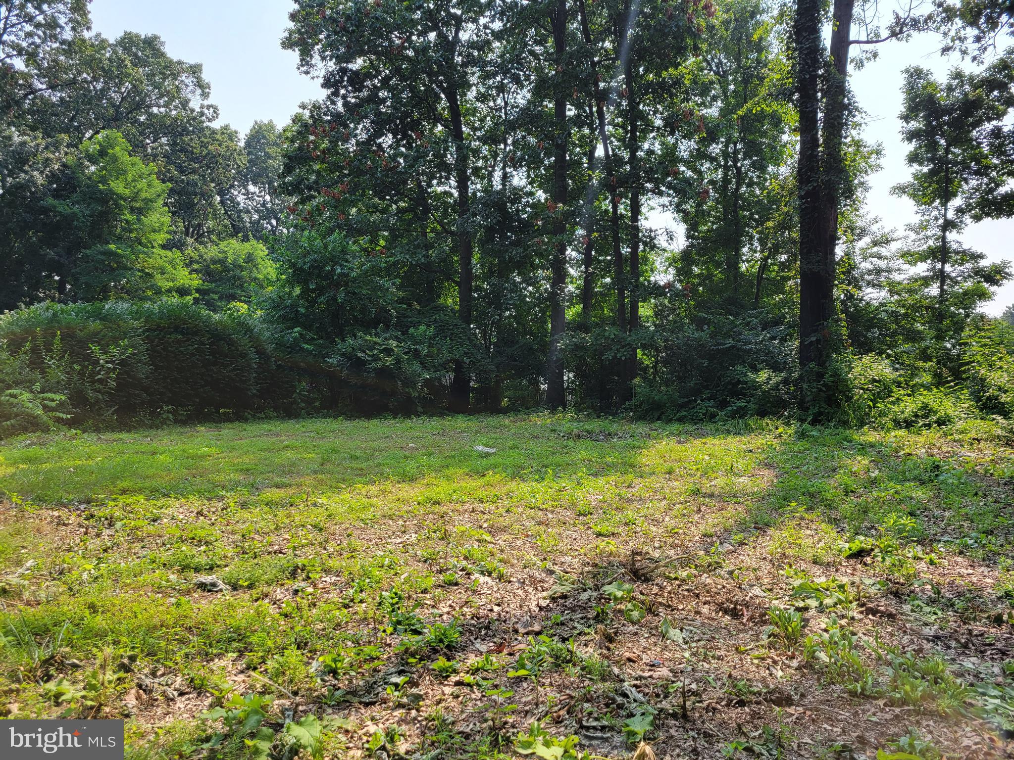 SUSQUEHANNA TRAILS - Land