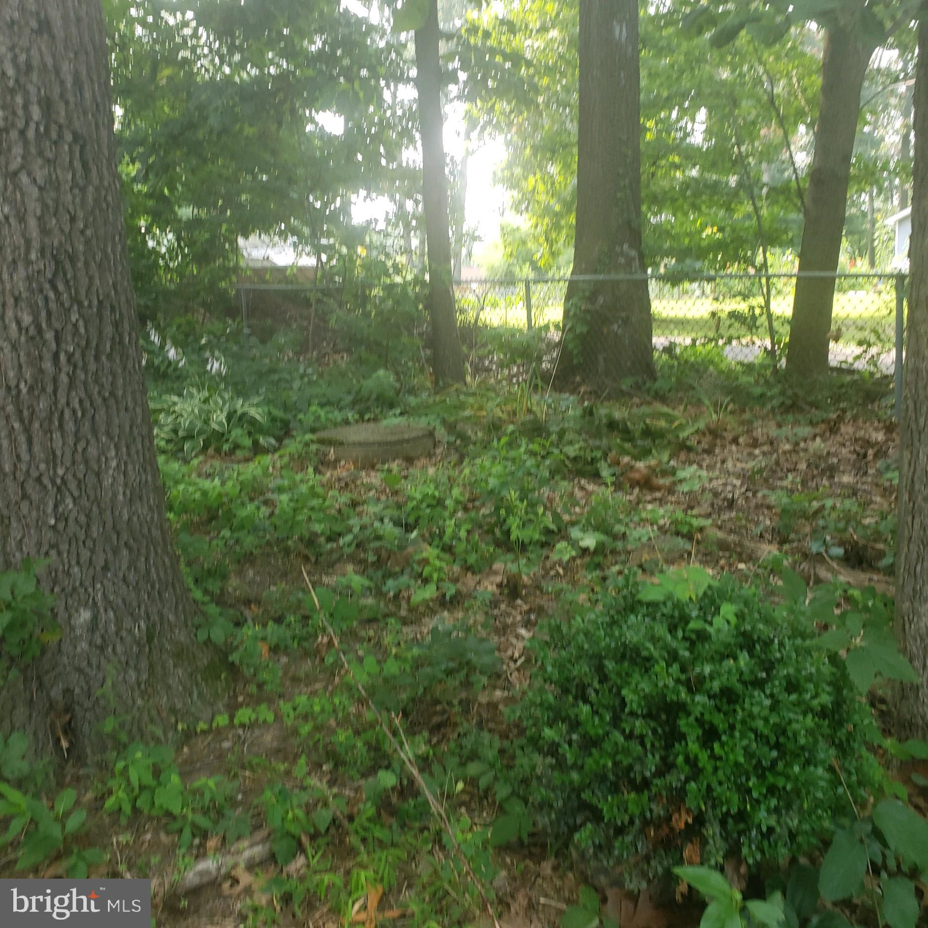 SUSQUEHANNA TRAILS - Land