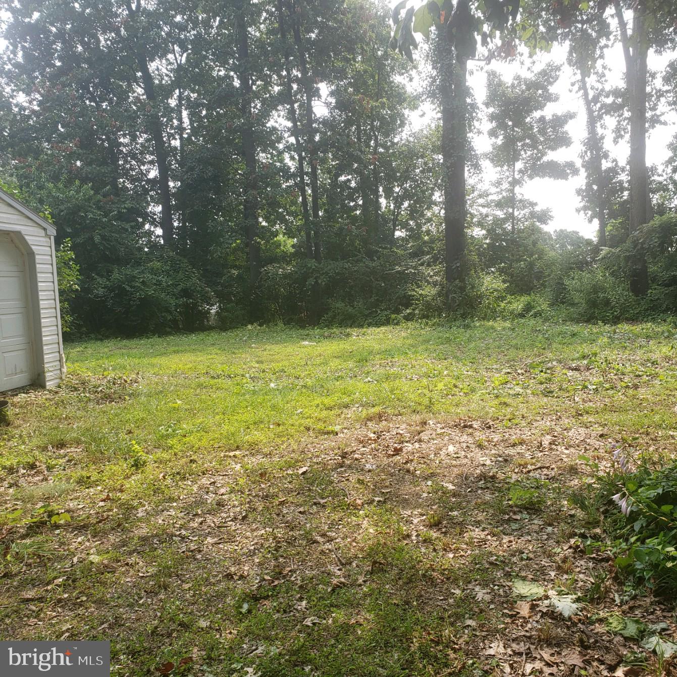 SUSQUEHANNA TRAILS - Land