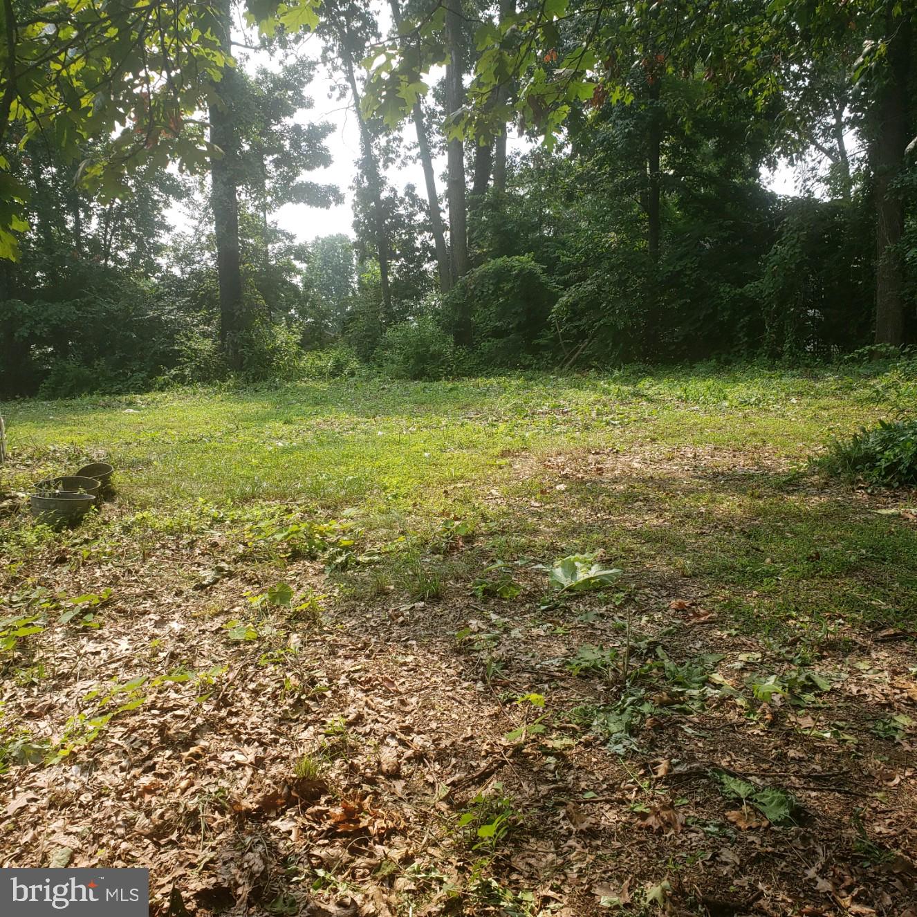 SUSQUEHANNA TRAILS - Land