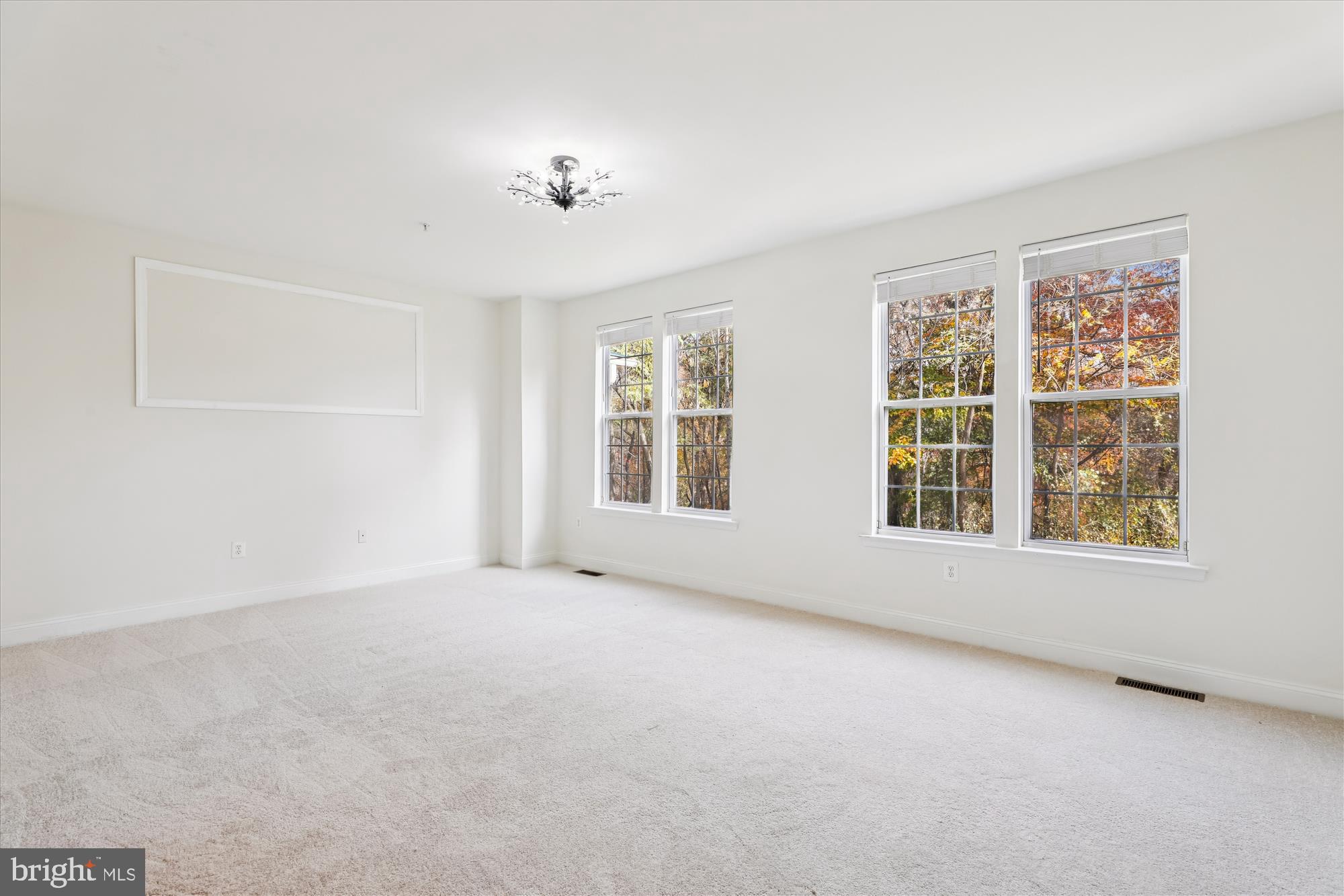 ENCLAVE AT ELLICOTT HILLS - Residential