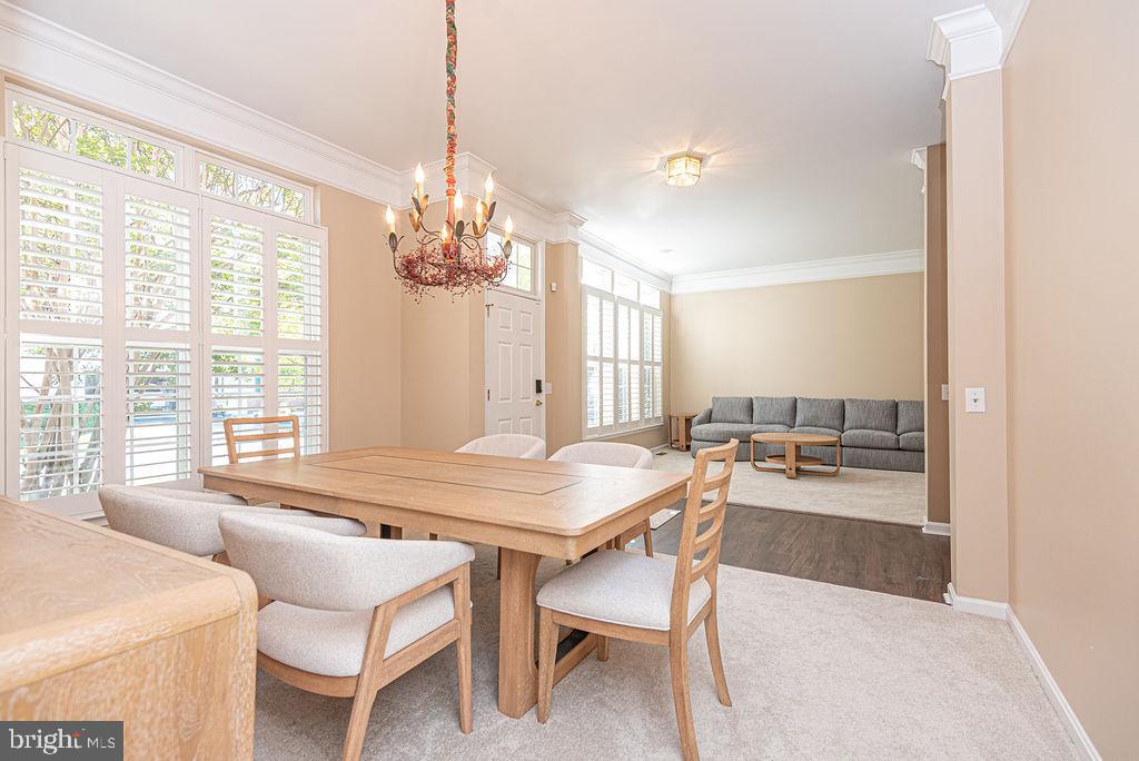 OCEAN PINES - THE PARKE - Residential