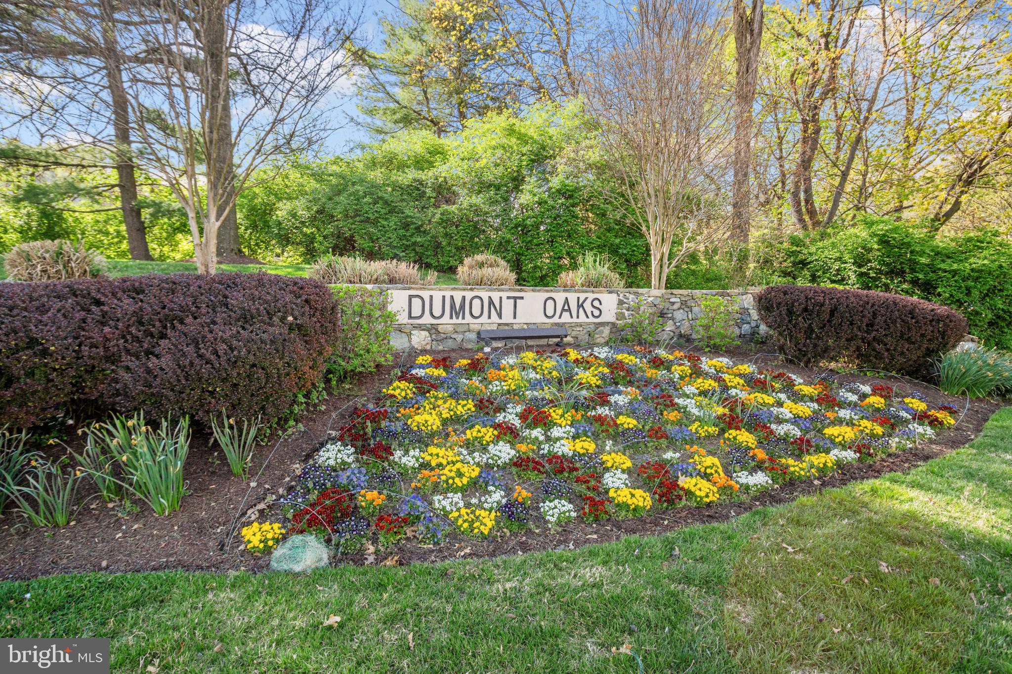 DUMONT OAKS - Residential