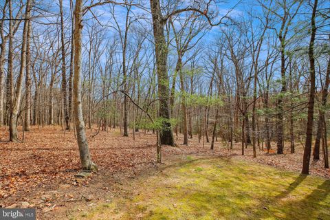 listing image 52