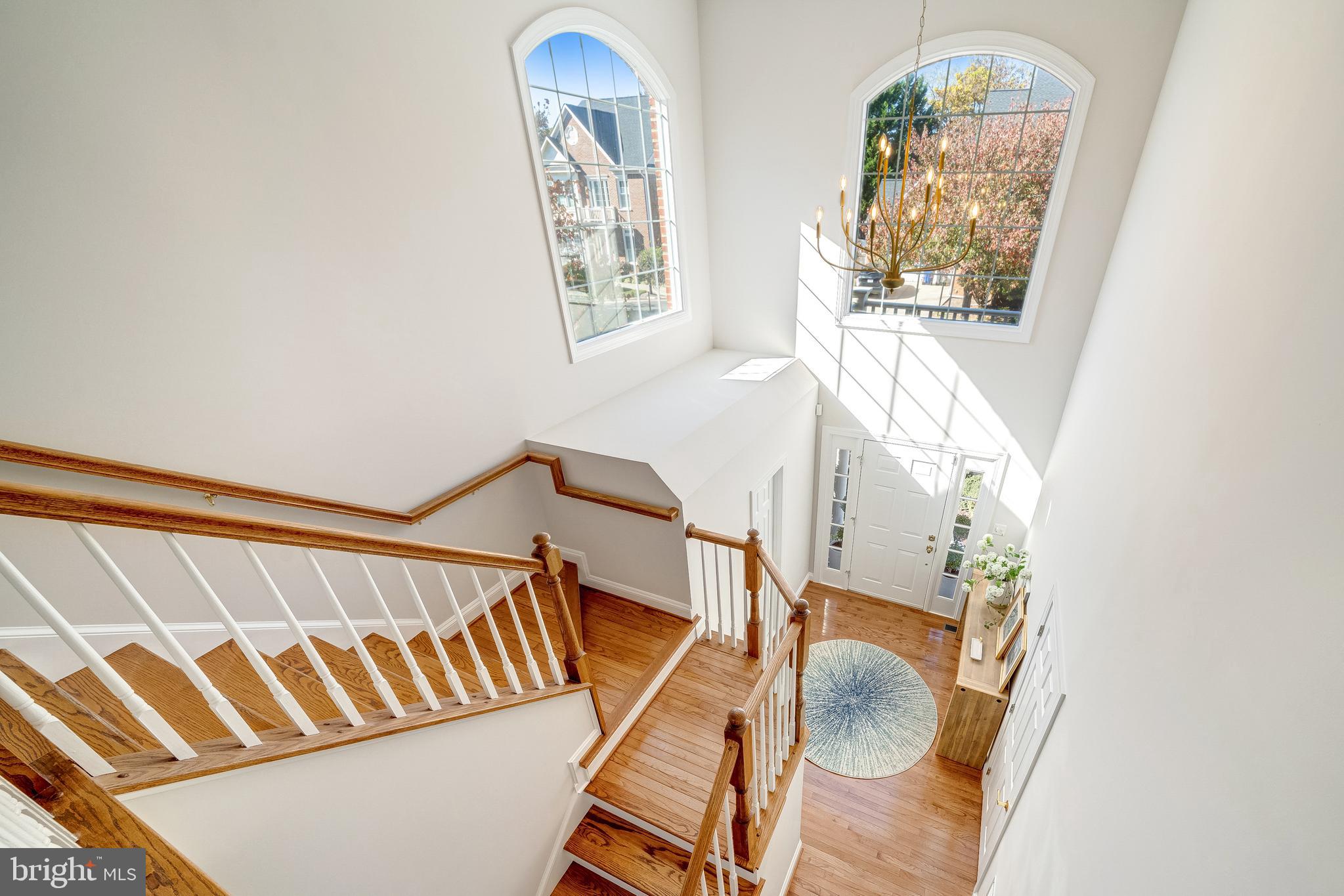 BLITZ PROPERTY - Residential