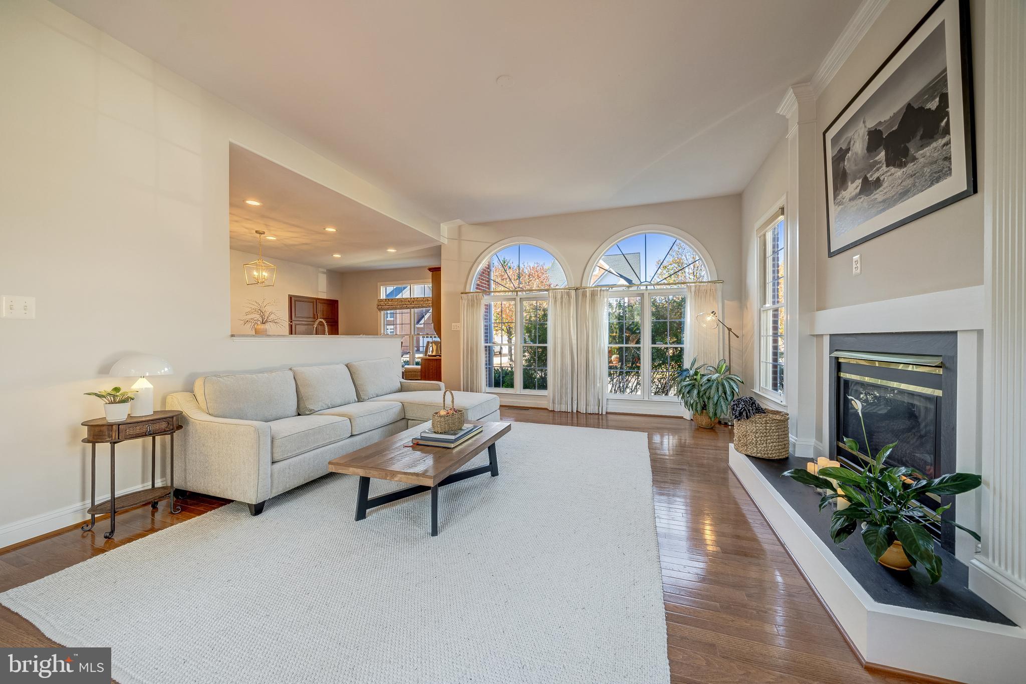 BLITZ PROPERTY - Residential