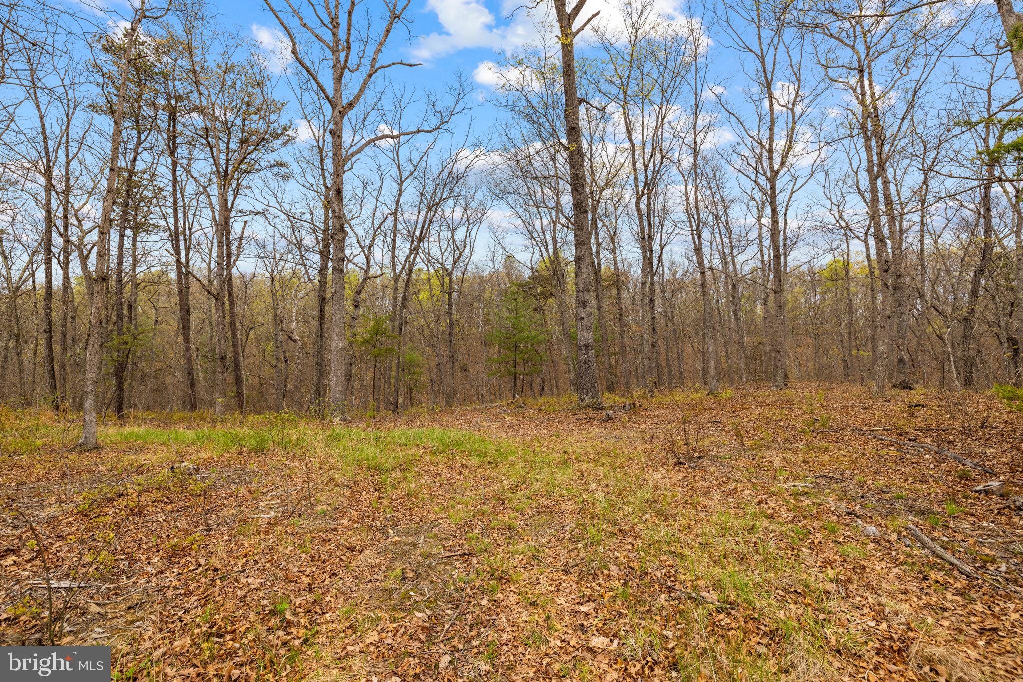 RIVER RIDGE ON THE SHENANDOAH - Residential