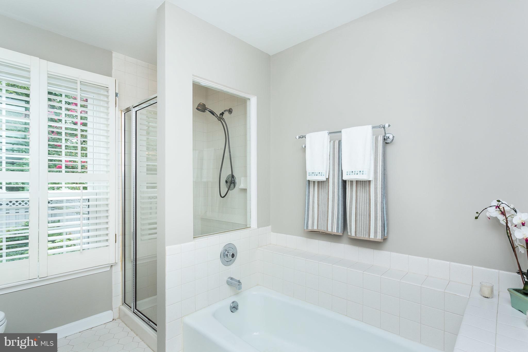 THE MEADOWS OF GREEN SPRING - Residential