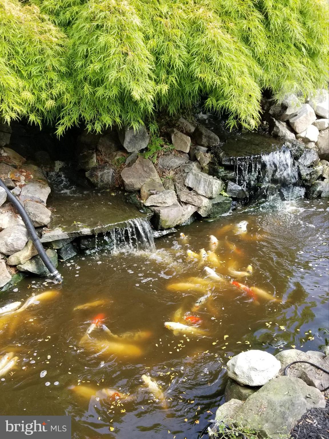 CRANBERRY ESTATES - Residential