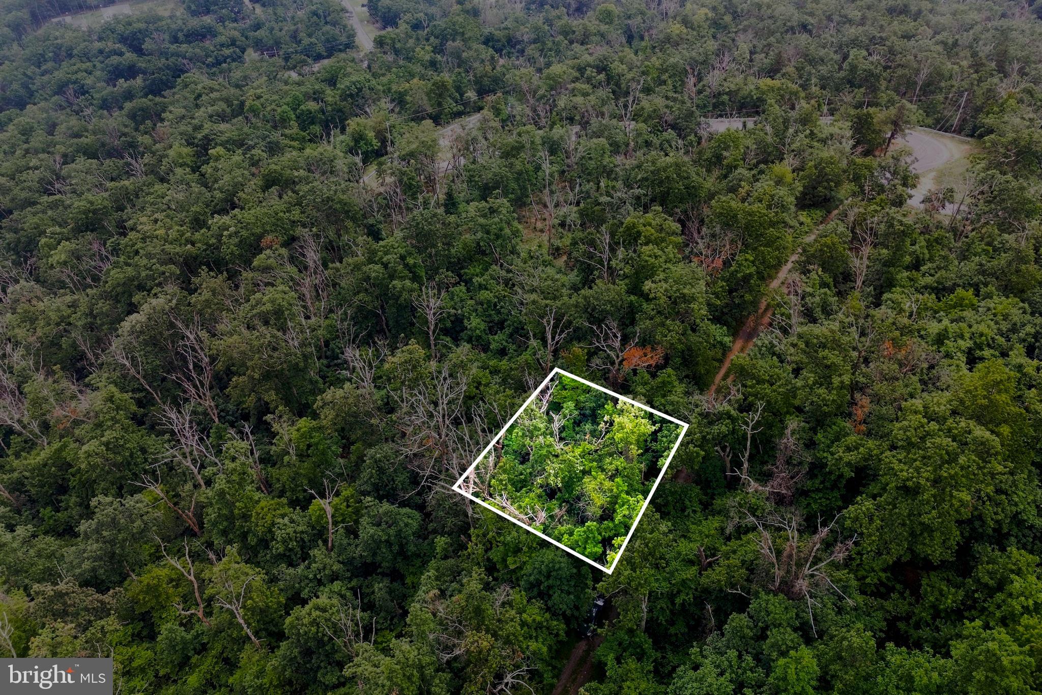 Lot 4 SALTLICK TRAIL
