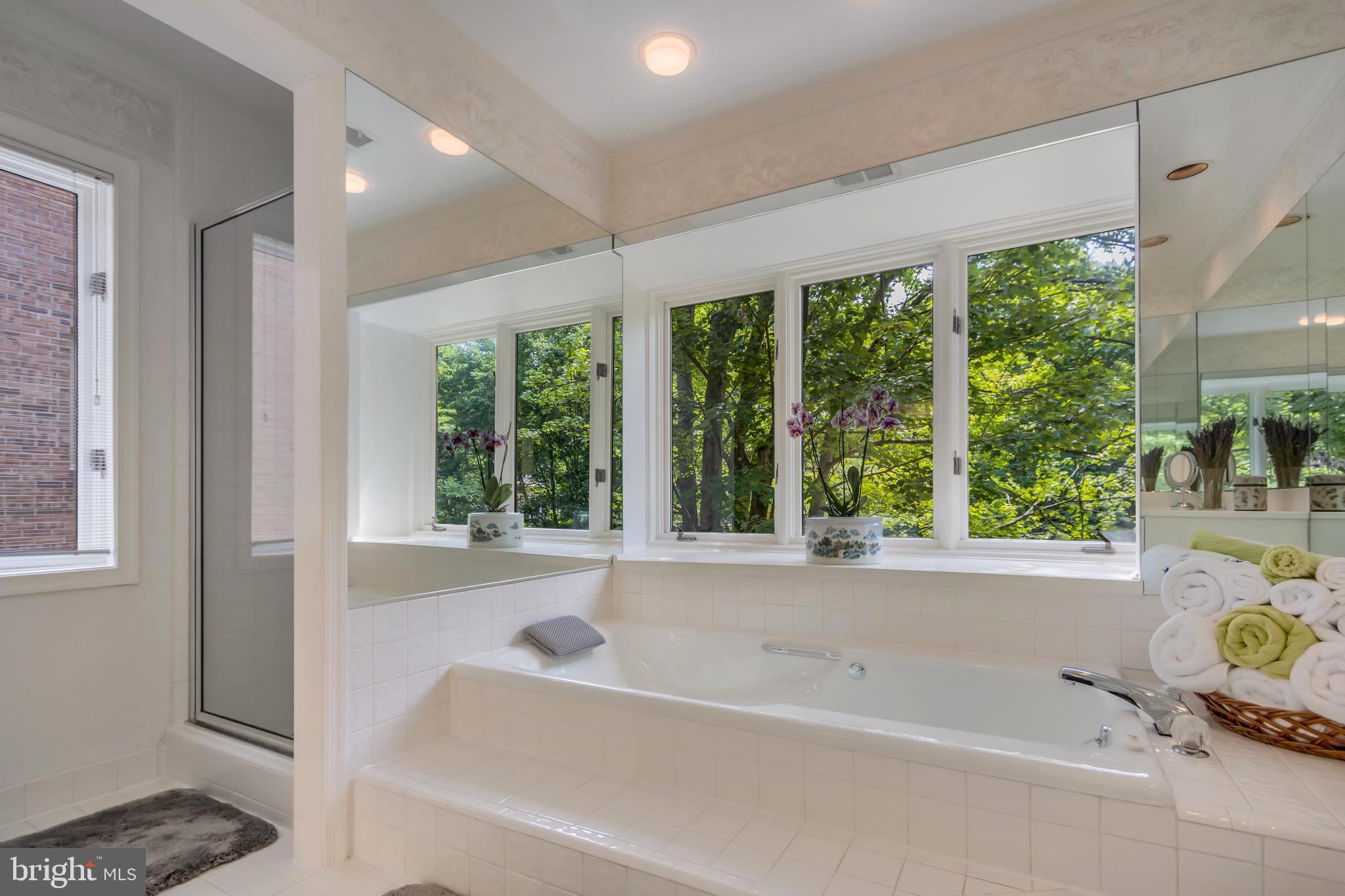 MASS AVE FOREST - Residential