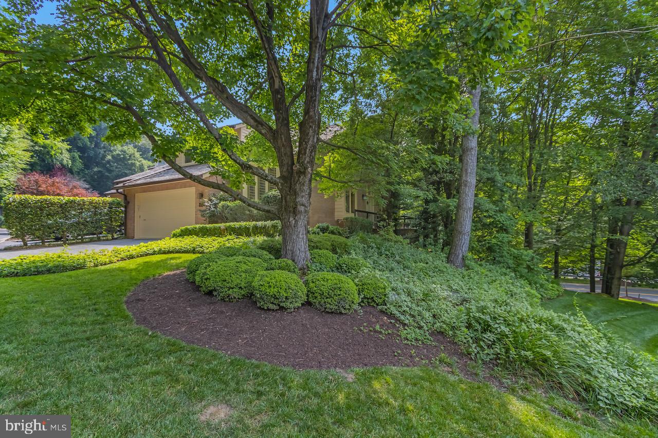 MASS AVE FOREST - Residential