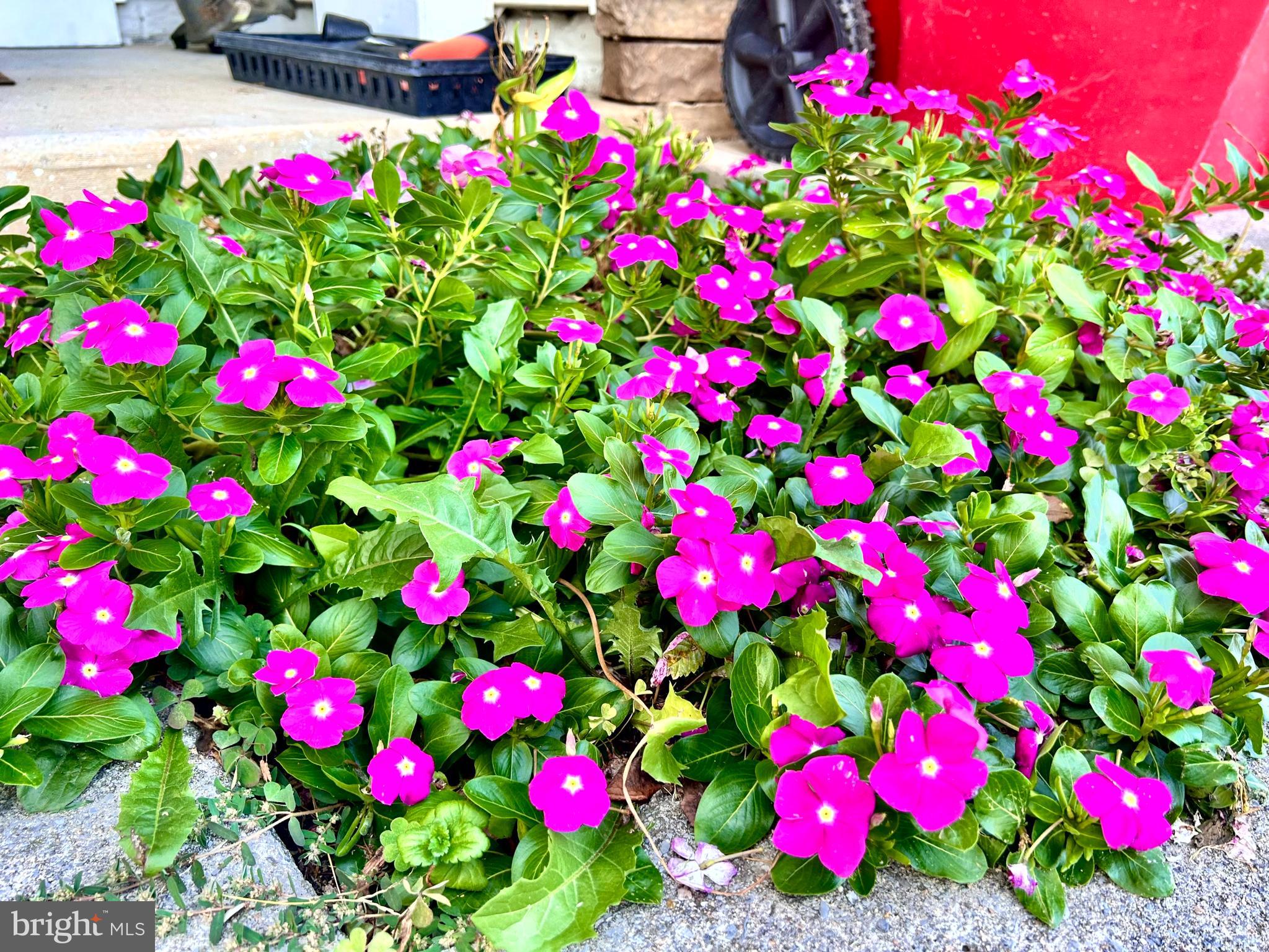 ARCHERS ROCK - Residential