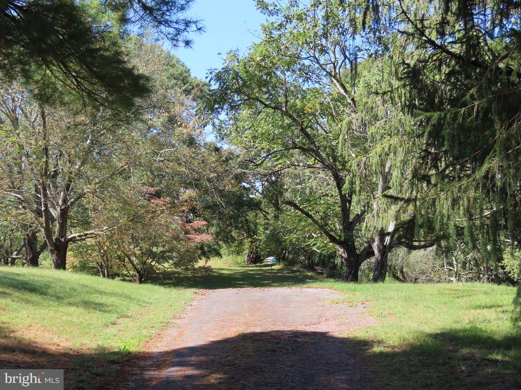 419 RUDASILL MILL ROAD