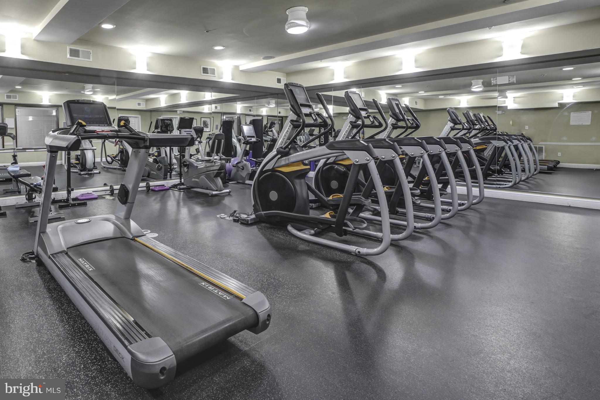 THE FITZ - Residential