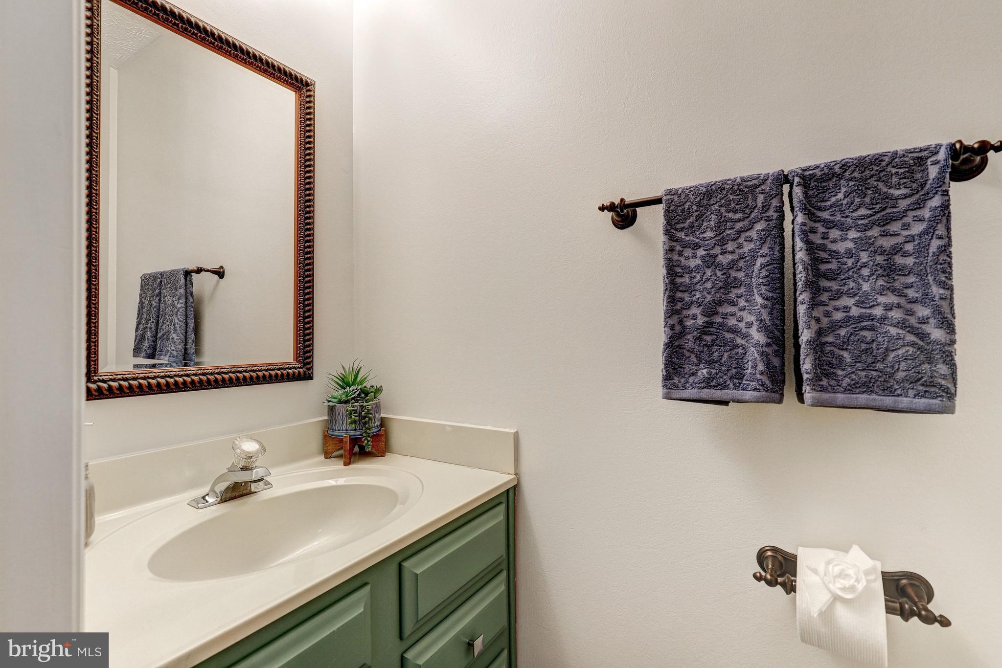 VILLAGE OF HARPERS CHOICE - Residential