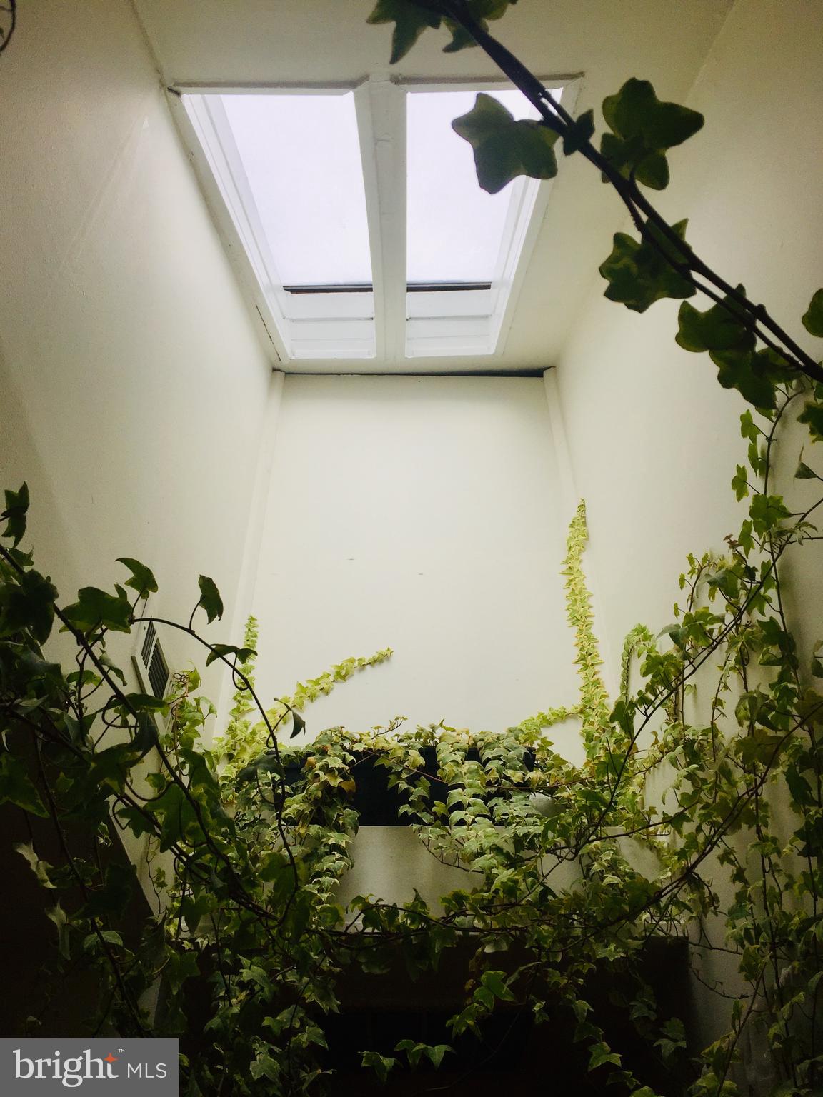 FEDERAL HILL HISTORIC DISTRICT - Residential Lease