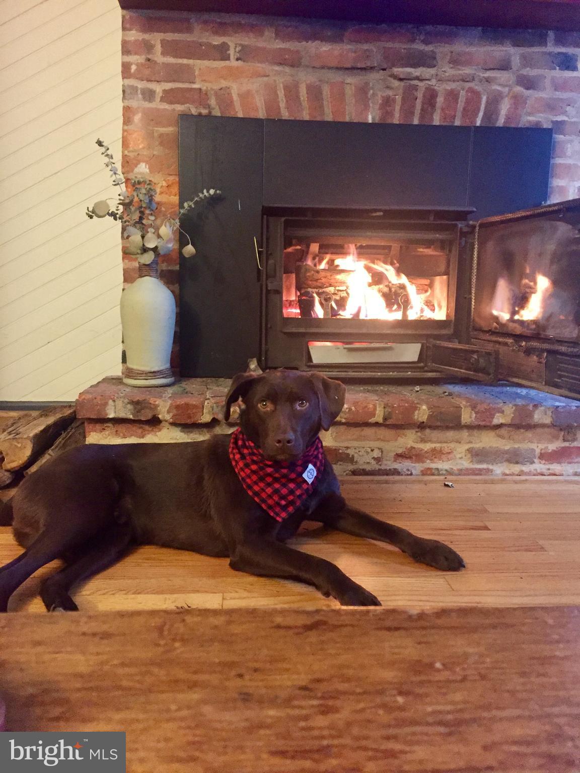 FEDERAL HILL HISTORIC DISTRICT - Residential Lease