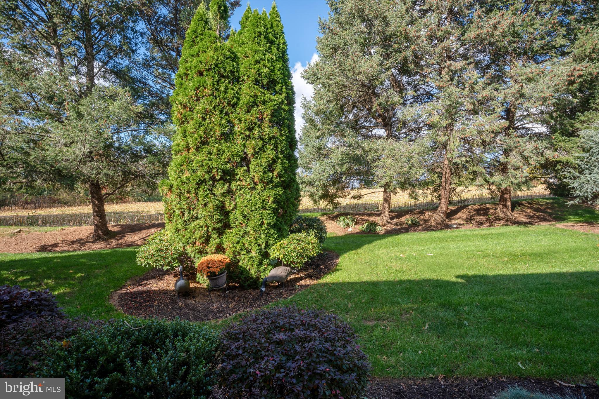 CARDIFF COURT - Residential