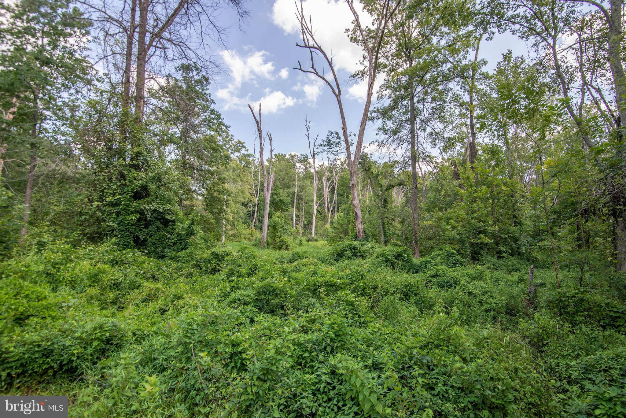 6325 FISHERS STATION ROAD